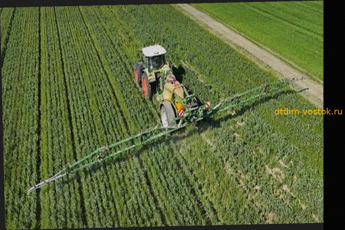 Bayer gewinnt Glyphosat-Streit in den USA vor Supreme Court