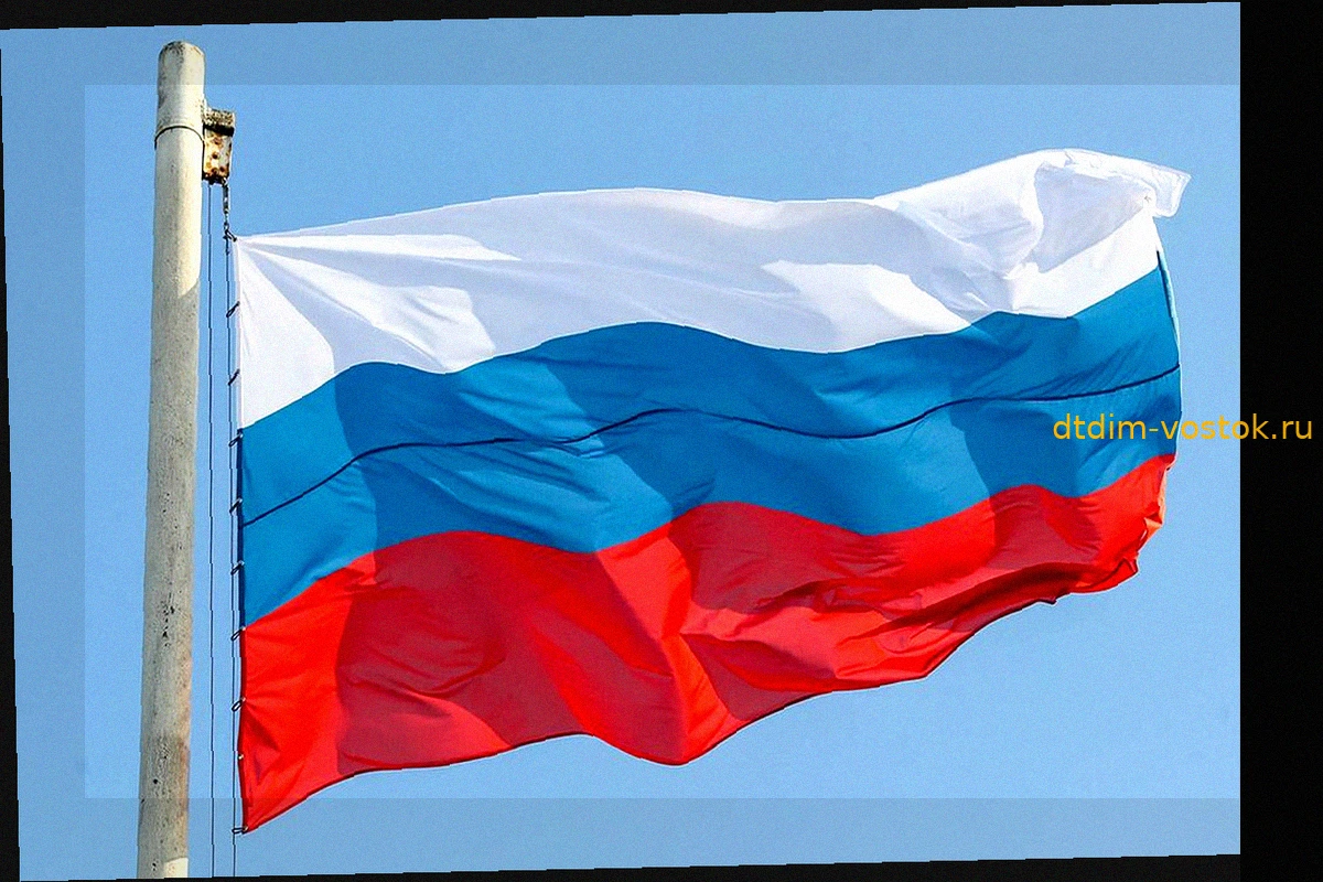 Жена Сафонова с флагом России на поле после победы ПСЖ в Лиге чемпионов