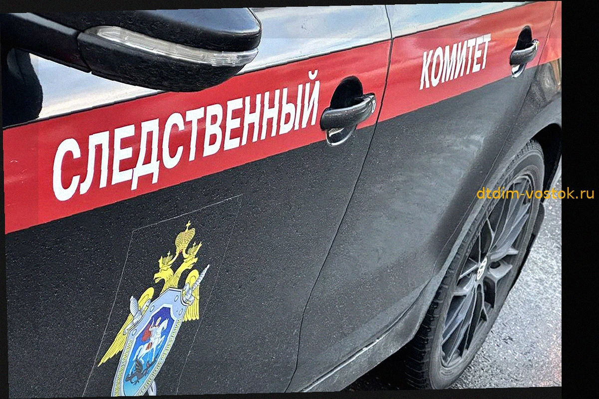 Трое подростков похитили 11-летнего мальчика и заперли в сарае в Приморье