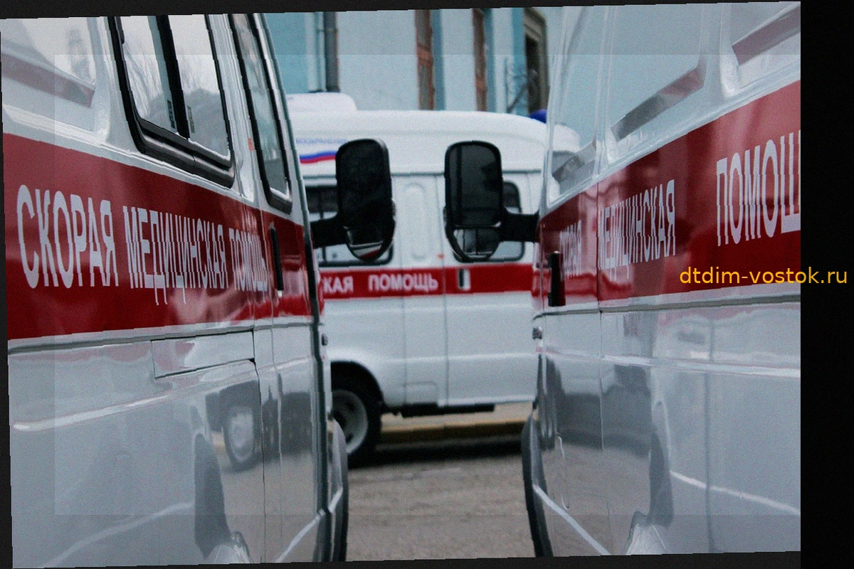 Под Калининградом в ДТП с деревом погибли три человека