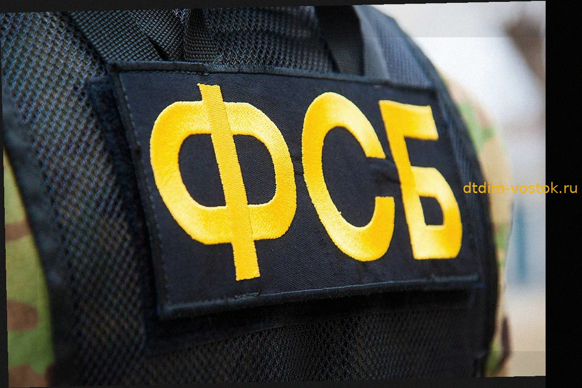 ФСБ: Бдительность жительницы Белгородской области помогла сорвать теракт