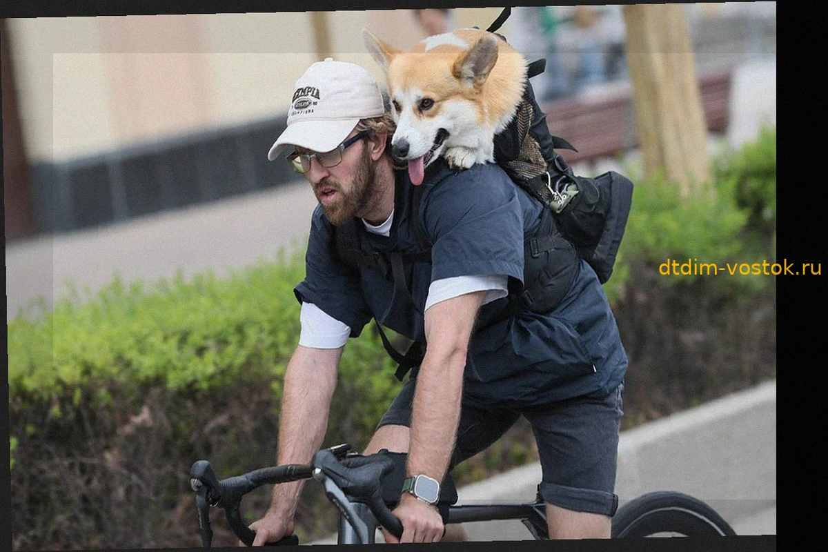 Потепление в Москве: подробный прогноз погоды на первую декаду мая